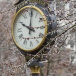Ice-covered tree branches with a large clock in the background.
