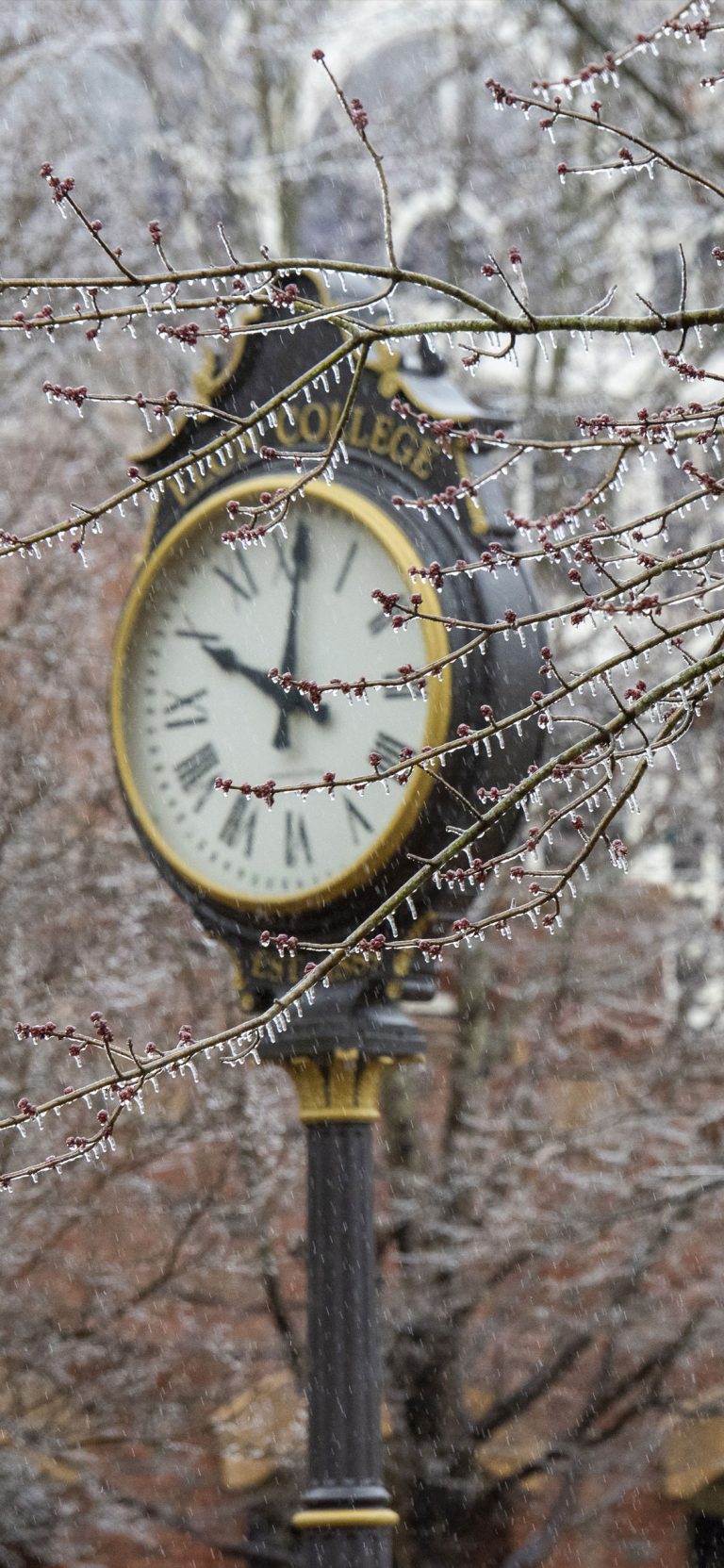 Ice-covered tree branches with a large clock in the background.