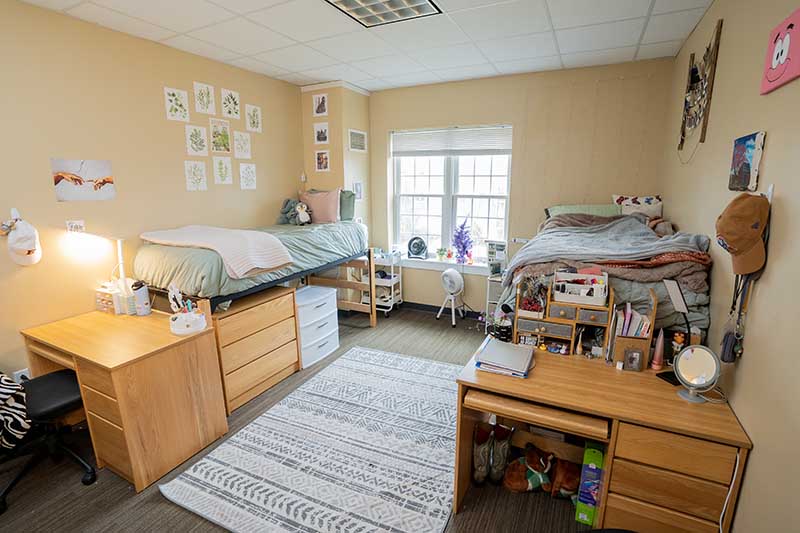 Photo of a double room in Global Neighborhood. Two beds are raised with dressers underneath and desks at the foot of the bed.