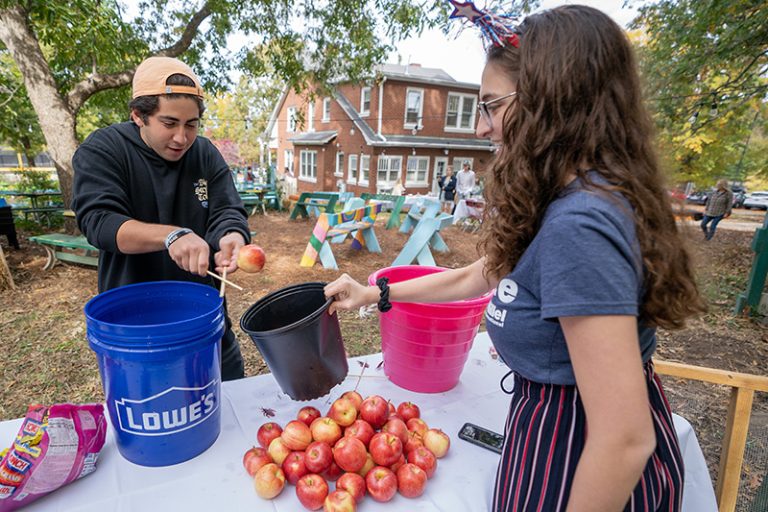 Benji Stern ’26 bobs for apples with chopsticks as Stephanie Miljanic ’26 catches the apples in a black bucket at Elon Community Garden club’s annual fall Pumpkin Festival. There are colorful tables and benches in the background.