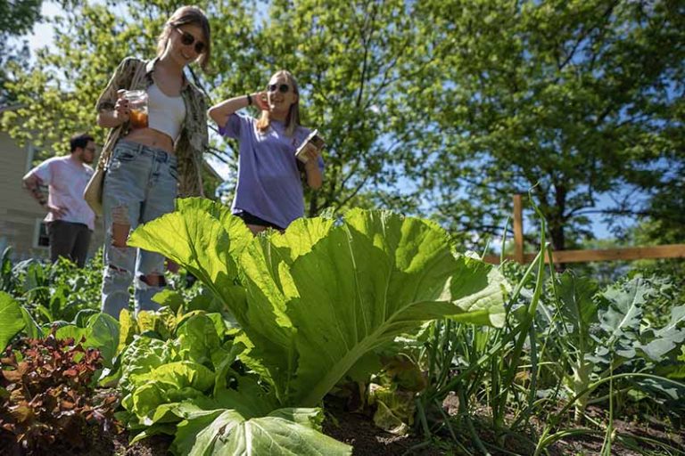 Students stare at the vegetables growing in the community garden.
