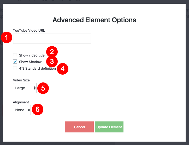 Image showing all the option for the youtube video embed
