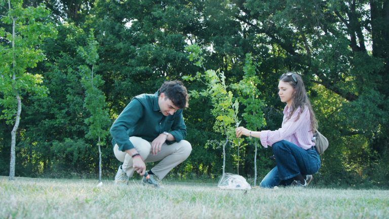 Two students kneel beside newly planted oak saplings during Elon University’s international student tree-planting ceremony.