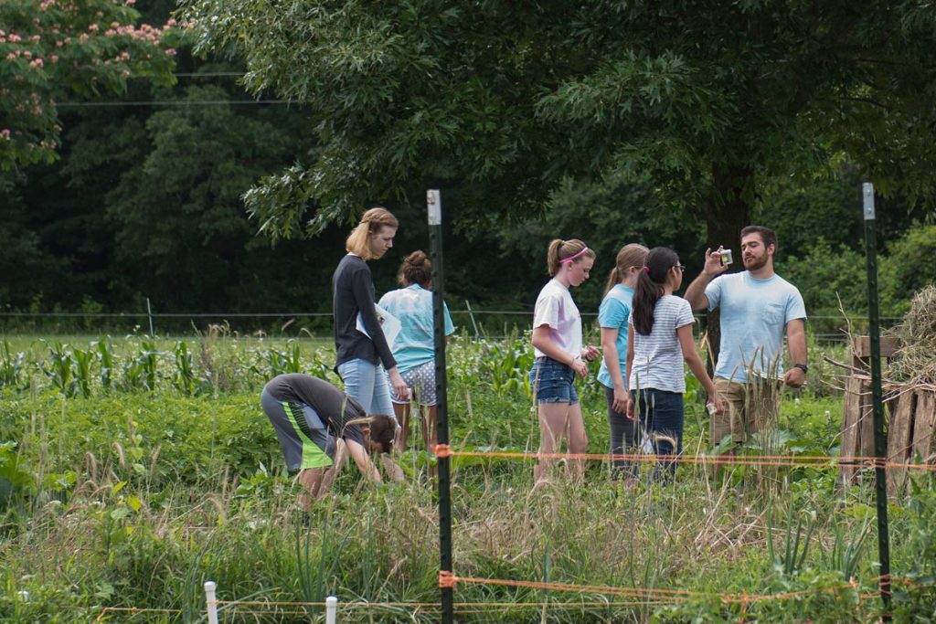 In a field at Loy Farm, an Elon student holds up a jar containing a squash bug in front of a group of middle school students.