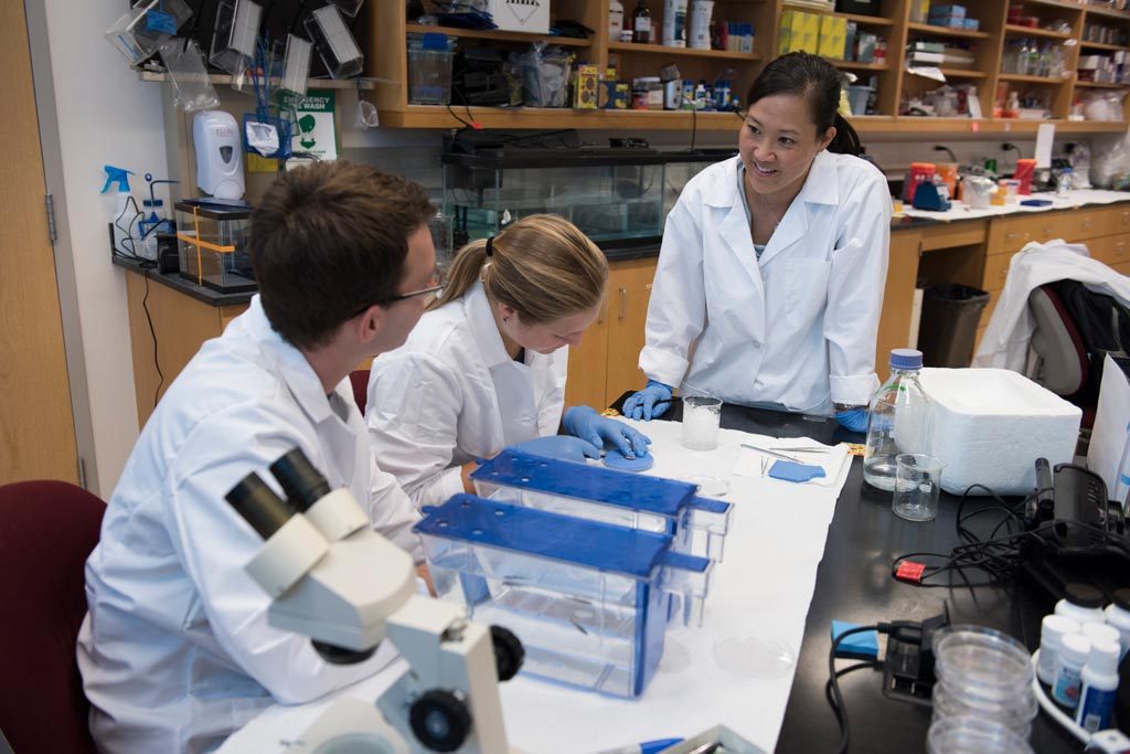 An Elon biology professor works with two students in a laboratory.