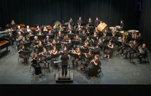 Photo of the wind ensemble playing during concert