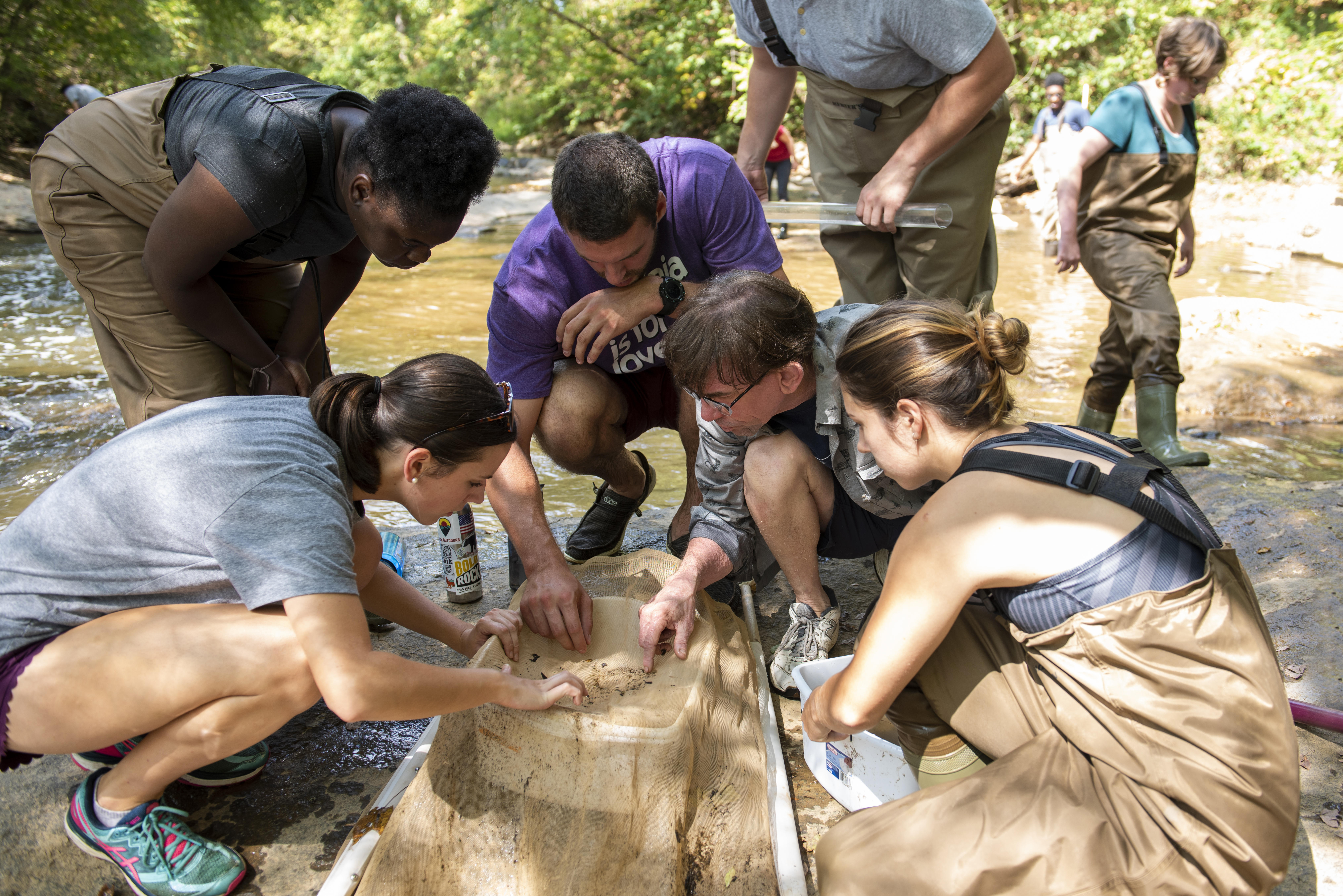 SEPTEMBER 26, 2019: Professor of Biology and Environmental Studies Michael Kingston’s Ecology students gather specimens in the Haw River, near the Glenraven Dam. (photo by Kim Walker)