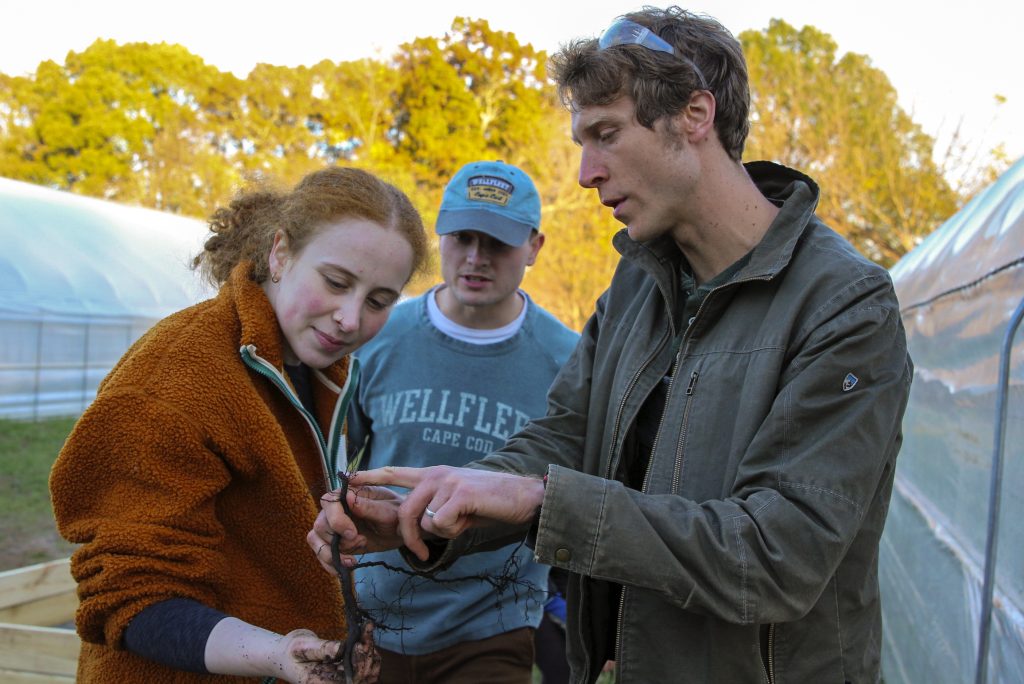 a professor shows two students a sapling's roots outside a greenhouse