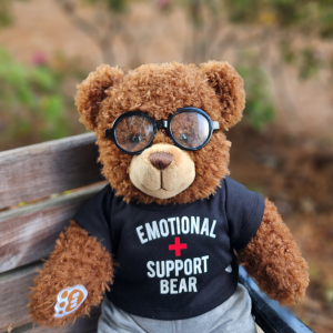 The office mascot, Osco the bear, sits on a bench with a shirt that says "Emotional Support Bear"