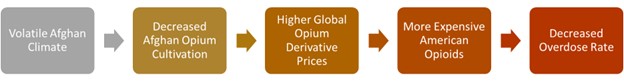This flow chart shows that in theory, more uncertain climate in Afghanistan should lead to decreased pium, then higher prices, and eventually lower death rates.