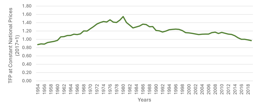 Line chart displaying total factor productivity in Brazil from 1954 to 2019, showing moderate growth followed by periods of stagnation. 