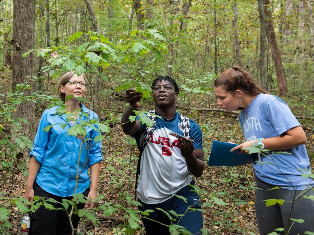 A photo of Associate Professor Jen Hamel with student researchers