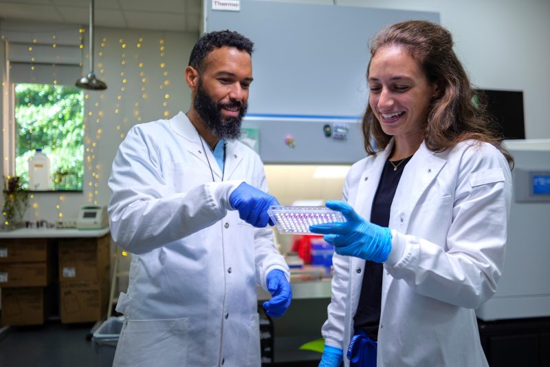 Photo of Charlotte Dagli '25 and mentor Efrain Rivera-Serrano, Assistant Professor of Biology, examining a microplate in the McMichael Science Center lab during the 2024 Summer Undergraduate Research Experience (SURE).