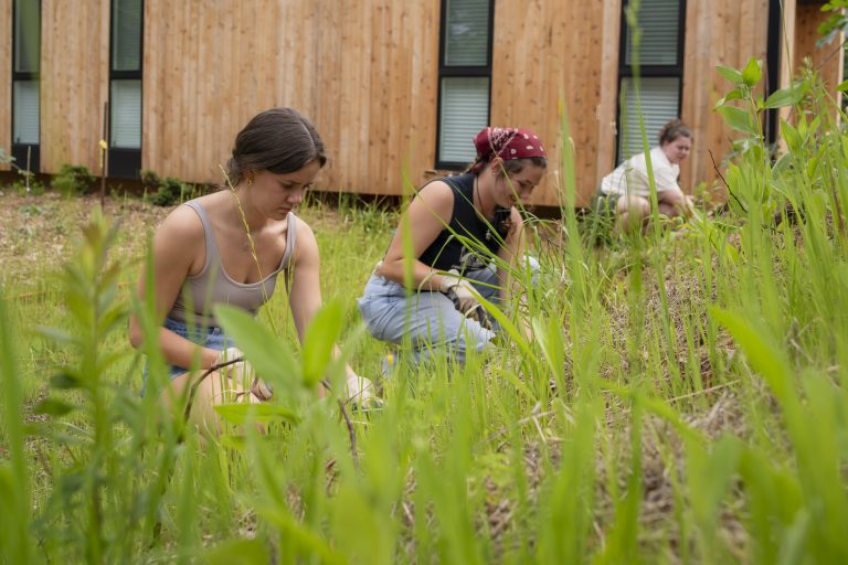 three students kneel at the edge of a grassy hill to plant more seedlings in the ground