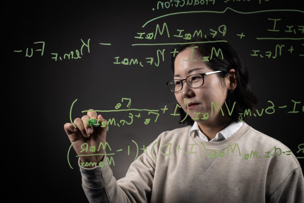 Assistant professor of math Hwayeon Ryu reviews a math equation.