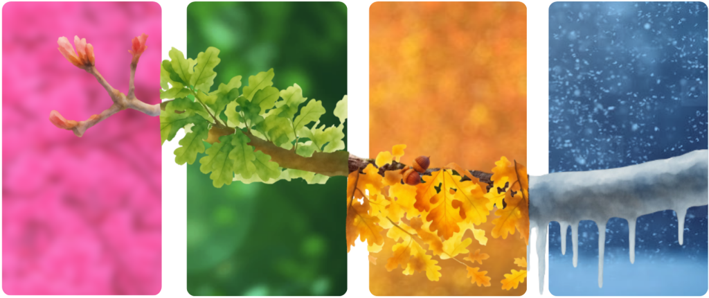 illustration of a tree branch changing from spring to summer to fall to winter