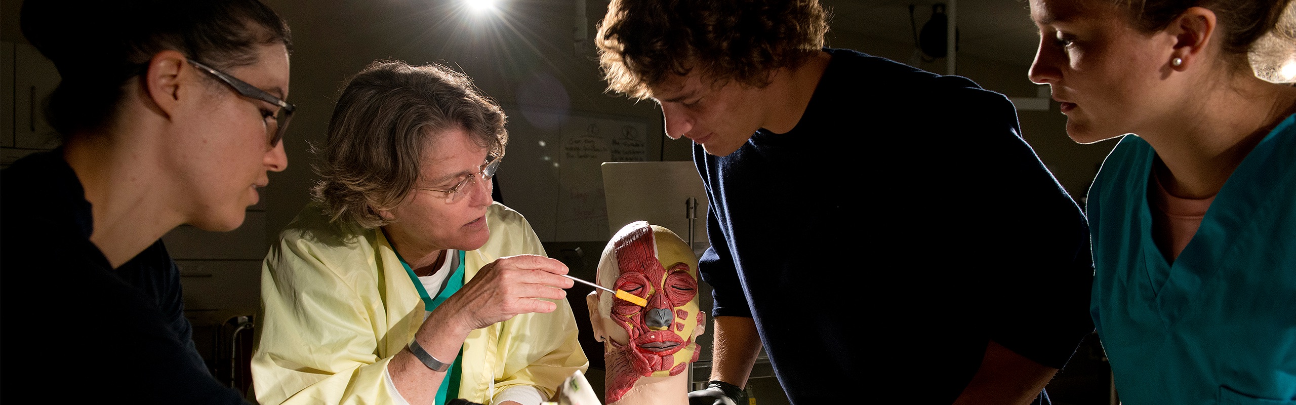 Assistant Professor of Physical Therapy Education Janet Cope works with D.P.T. students in an anatomy lab class.
