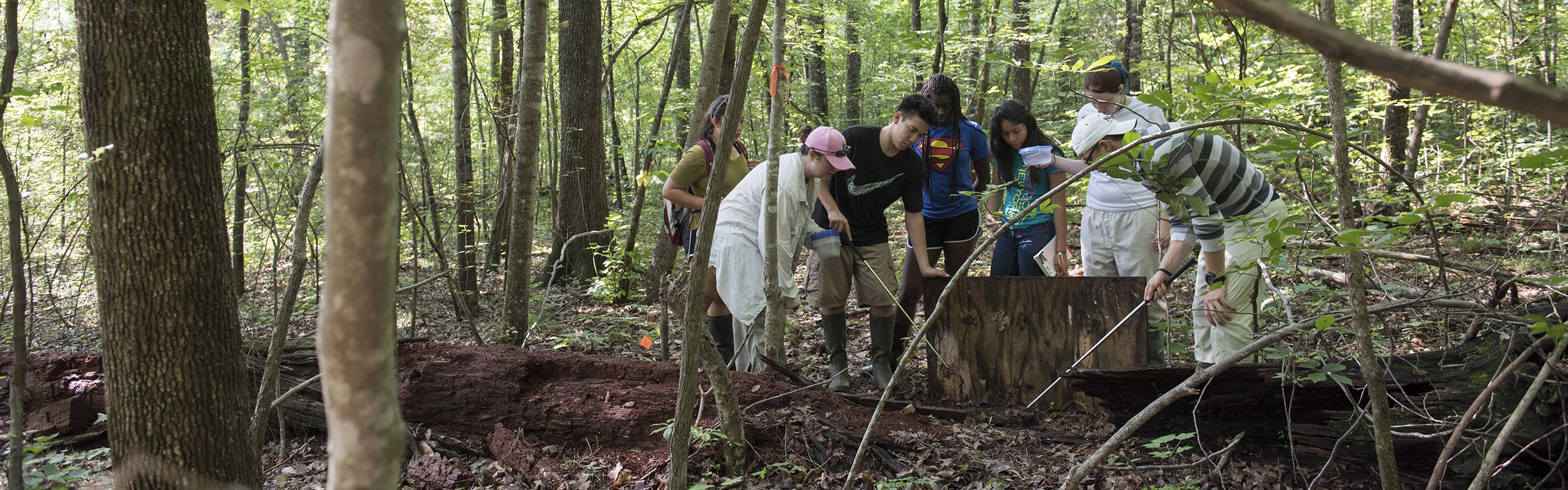 Elon Academy students studying herpetology with Lacey Huffling look for specimens in the Elon Forest during class.