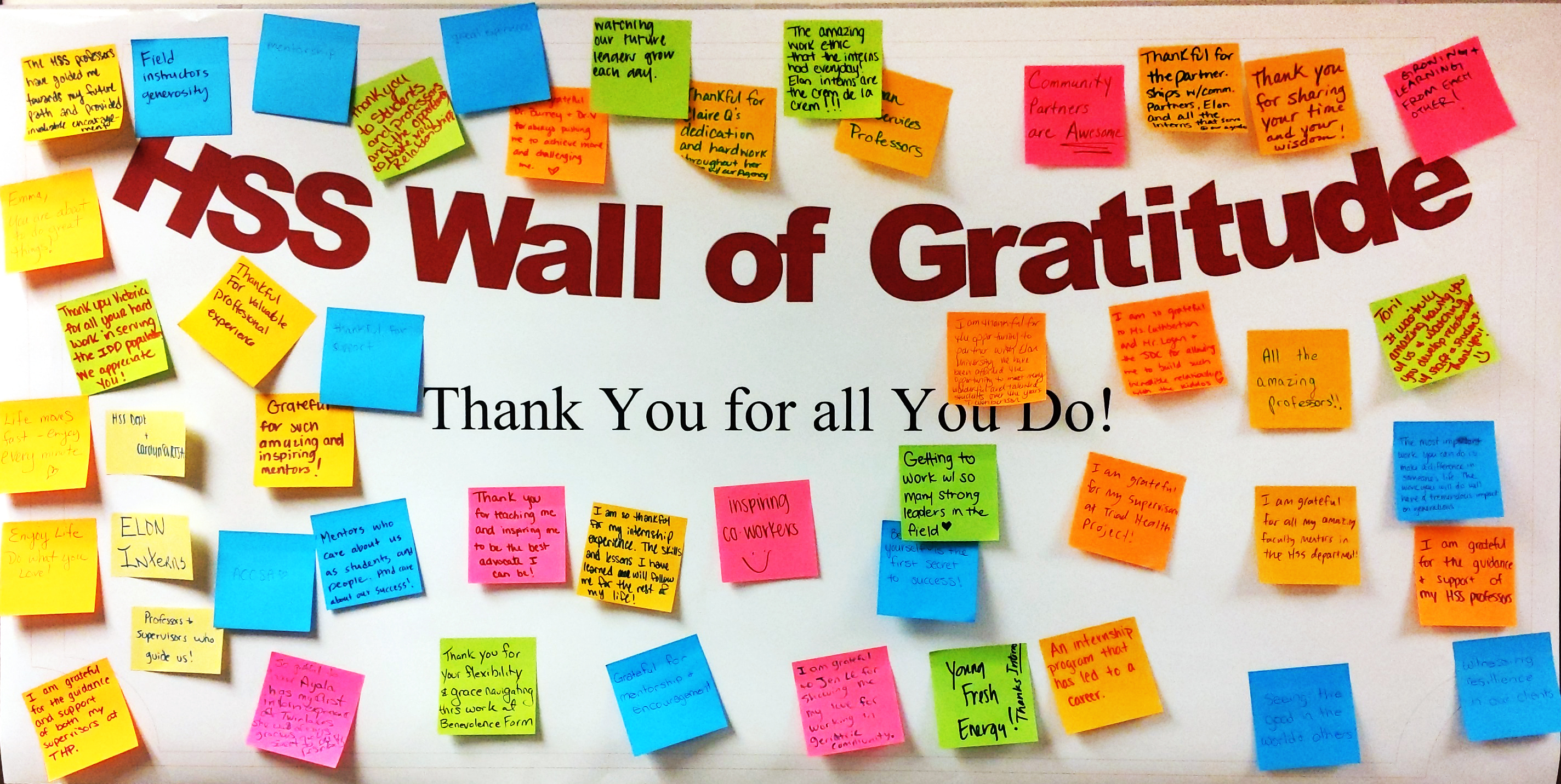 Banner with the words HSS Wall of Gratitude: Thank You for all you Do! covered in multi-colored sticky notes with handwritten messages of thanks