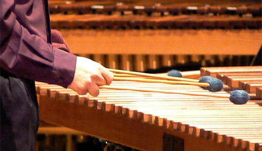 Picture of student playing a xylophone