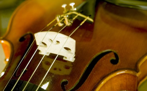 Picture of a violin