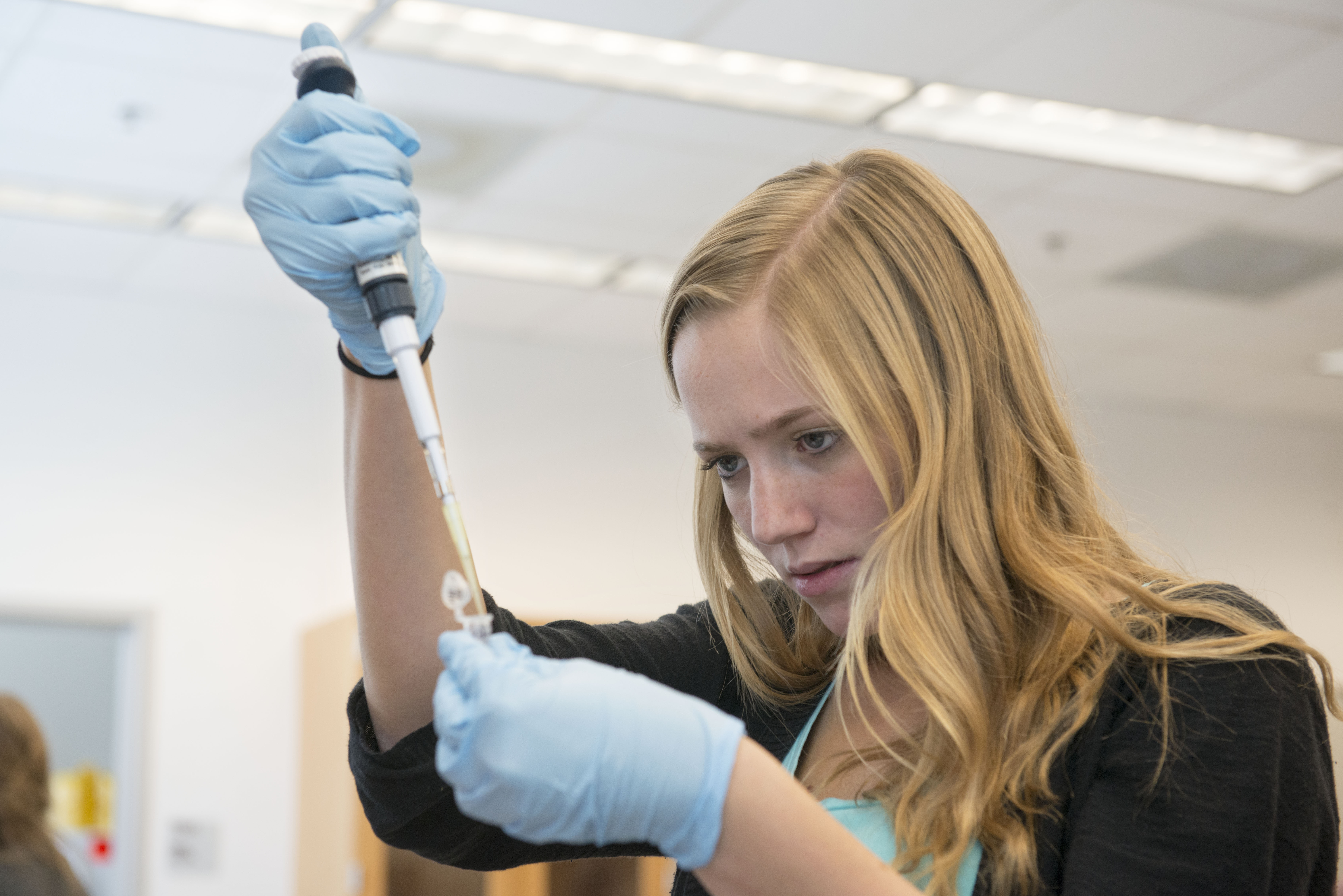An exercise science student uses a pipette in a lab. Explore exercise science at Elon and discover rewarding exercise scientist jobs.