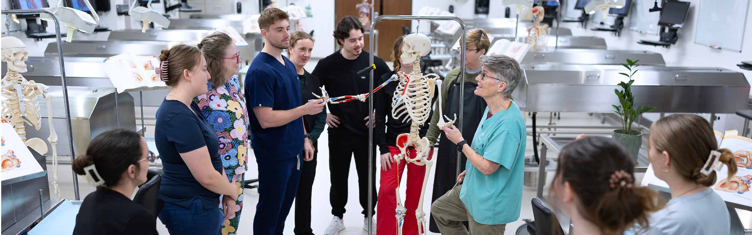Elon DPT students in the human anatomy lab