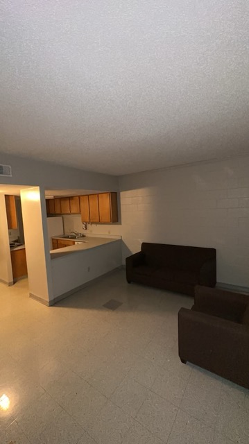 Danieley Apartment A-F Living Room