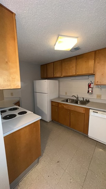 Danieley Apartment A-F Kitchen View