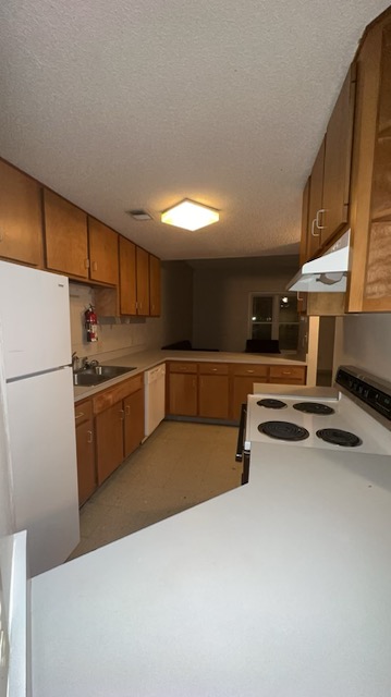 Danieley Apartment A-F Kitchen View From Entryway