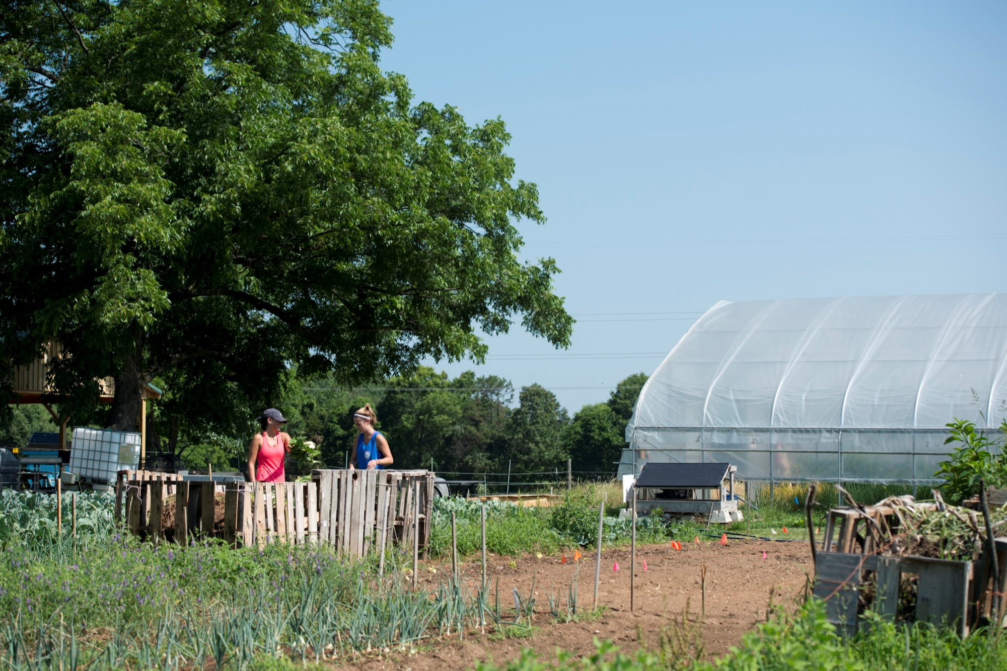The power of Loy Farm Today at Elon Elon University