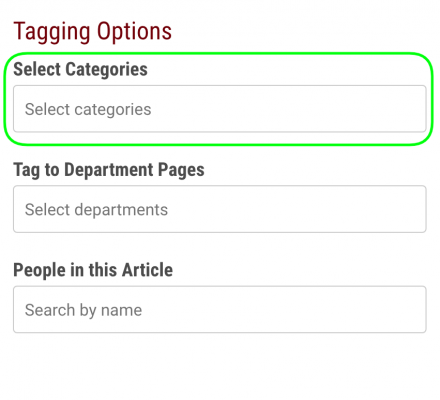 Screenshot showing example of category tagging options