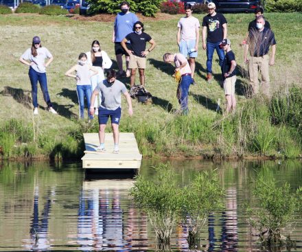 Alex Sobel '21 balances on the connected dock system built by the Senior Engineering Design Capstone class and launched in the pond behind the Schar Center on Tuesday, May 11. Engineering students will use the dock system to access constructed floating wetlands modules.