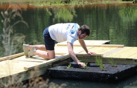 Trent Houpt '21 completes the planting on the first deployed constructed floating wetland module at the Schar Center retention pond May 15.
