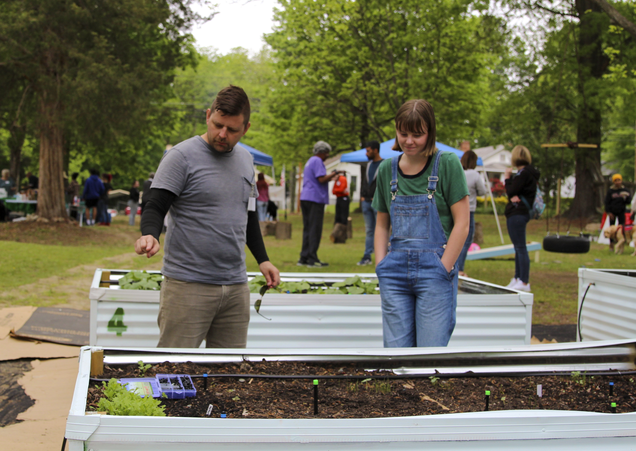 Man and woman standing next to raised beds with seedlings germinating.
