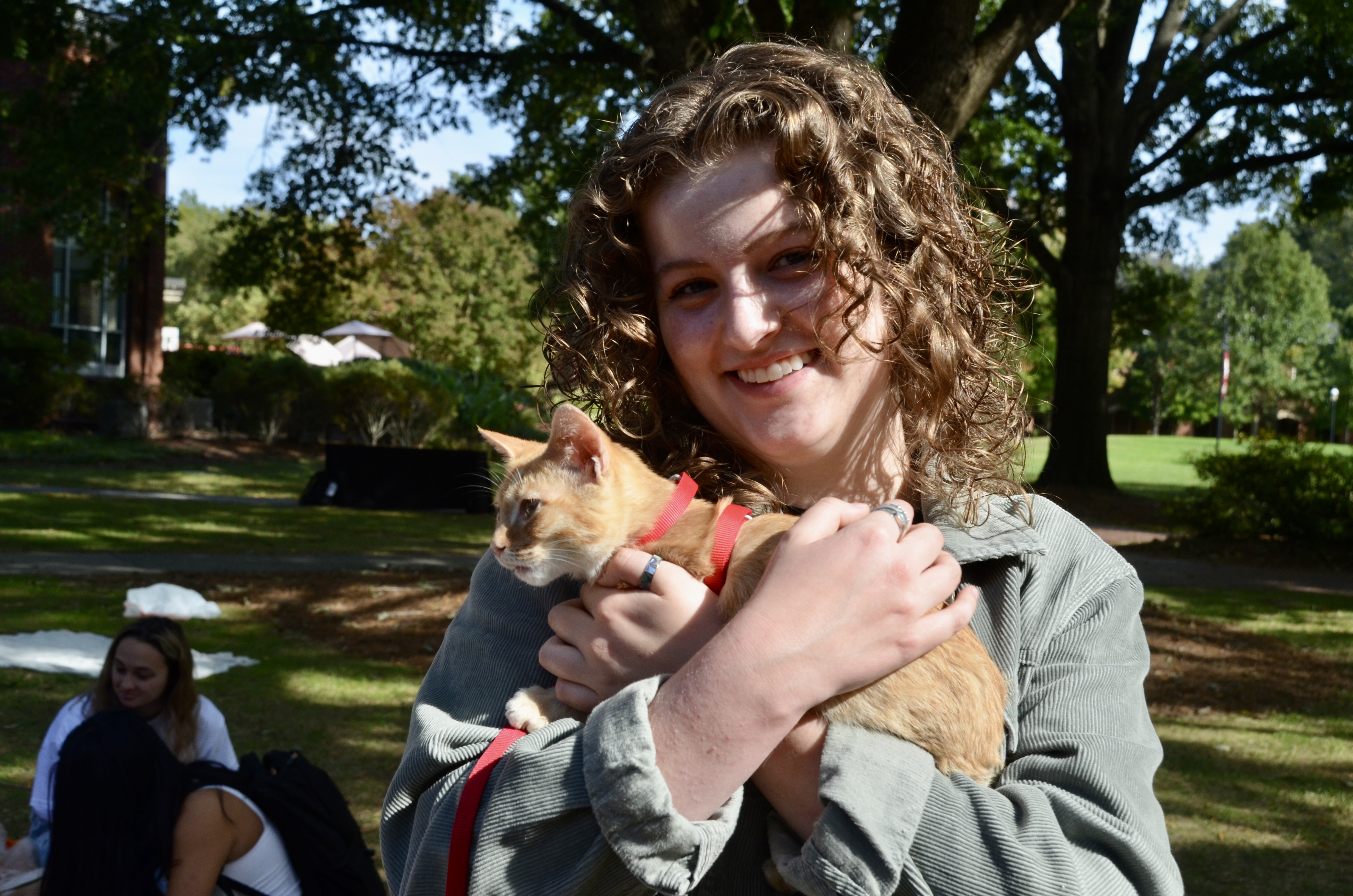 A student holding a kitten