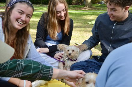 Students bond with dog at pet therapy event