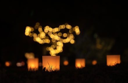 Luminarias and lights at night