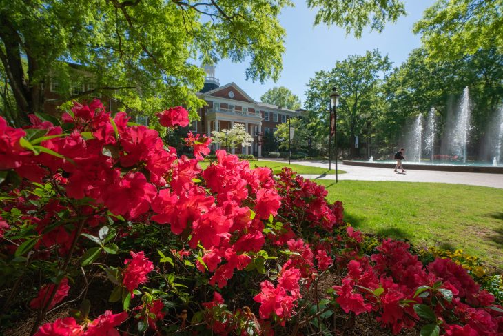 Azaleas in bloom around Fonville Fountain on the campus of Elon University, April 11, 2023.