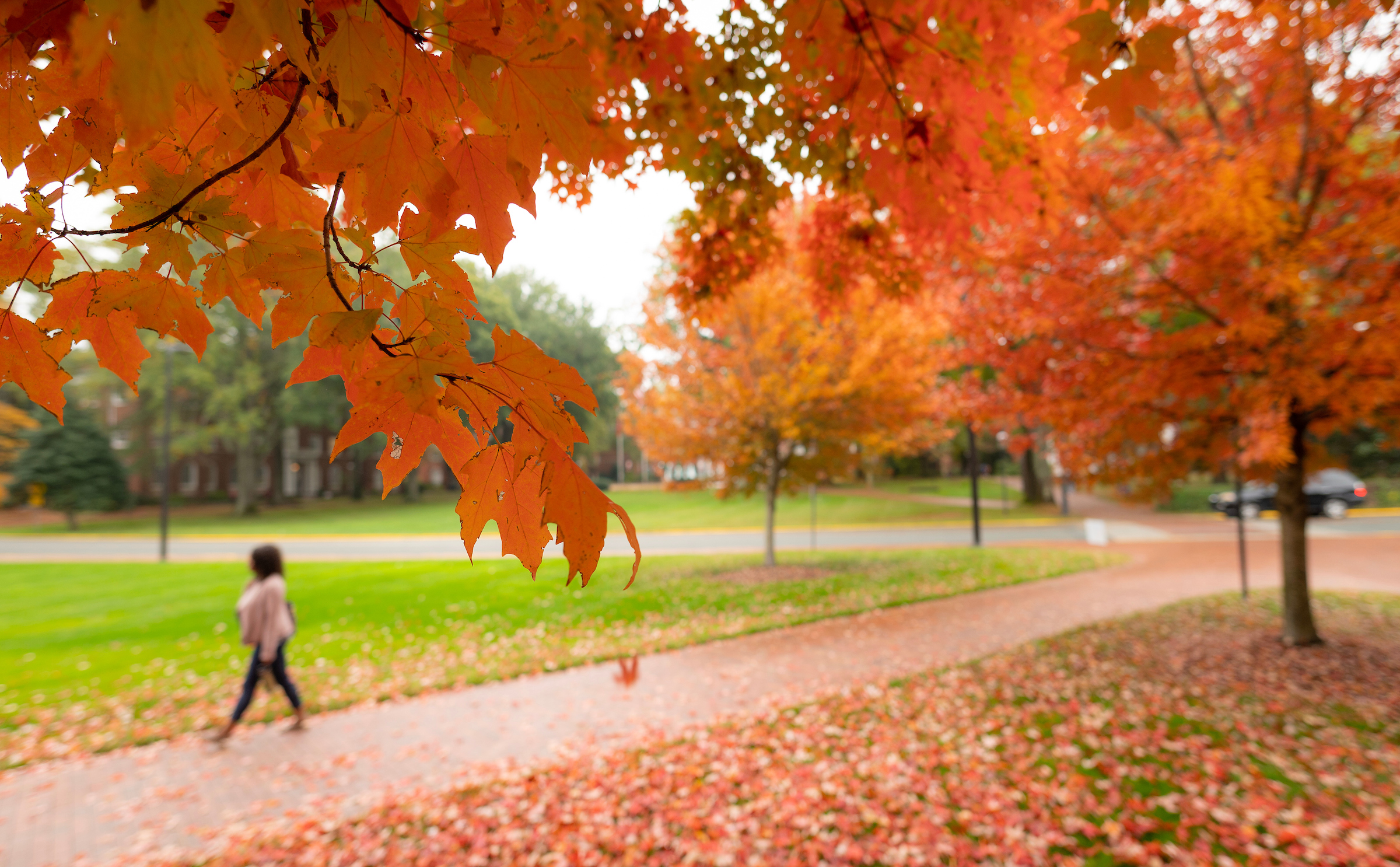 Unlock your future: Exciting career & educational events coming soon