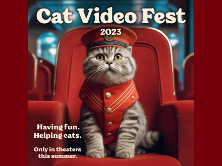 Cat Video Fest promotional image with a cat sitting in a theater seat wearing a red button-up suit and captain's hat
