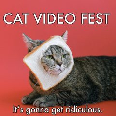 Cat Video Fest promotional image of bread cat saying, 'It's gonna get ridiculous.'