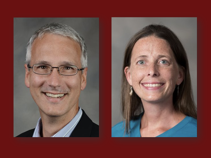 Steve DeLoach and Kathleen Stansberry named 2024-26 Data Nexus Scholars ...