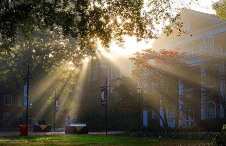 Sun streaming through the mist and trees in front of Alamance Building