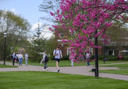 Student walks through Elon University campus