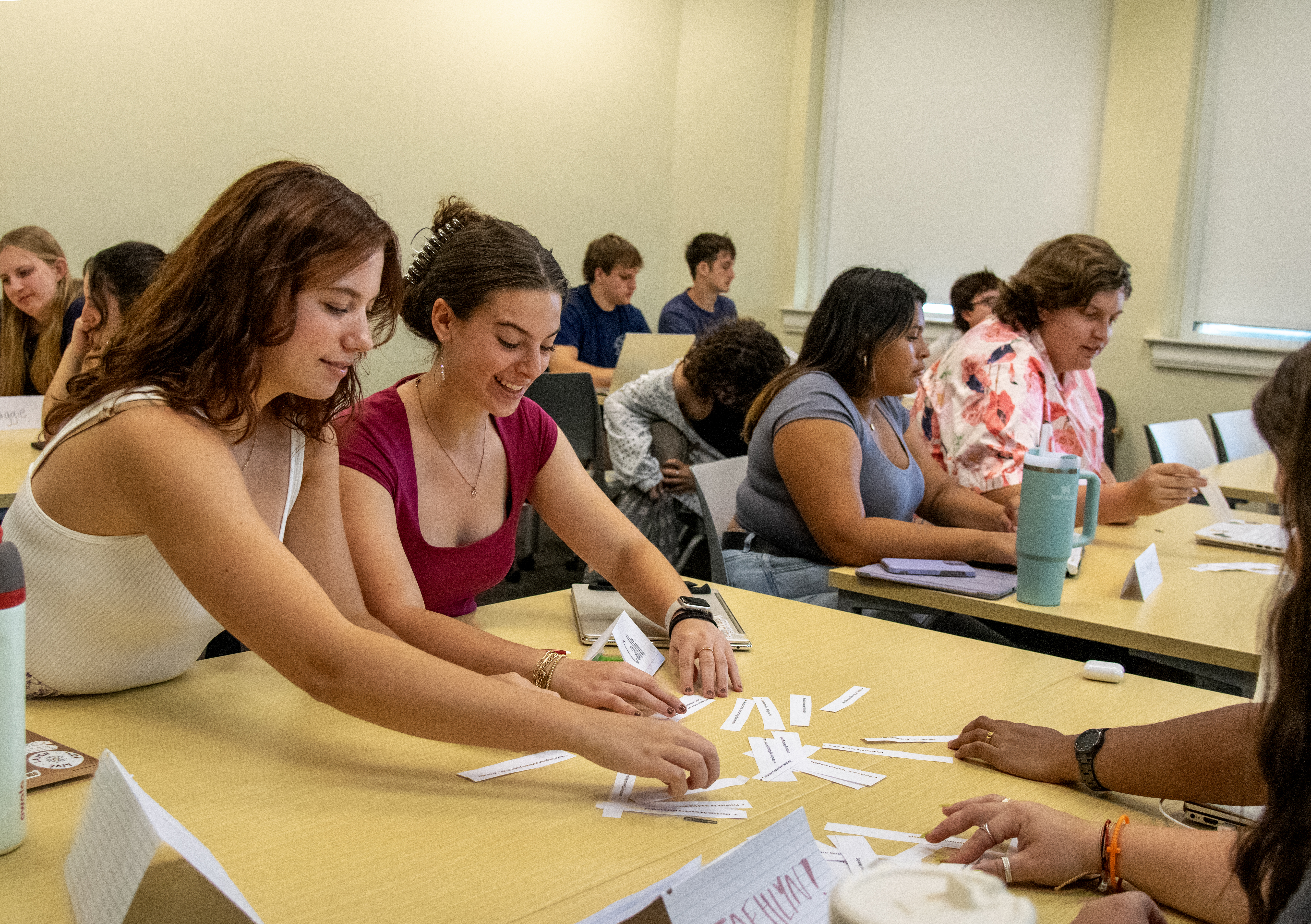 Students at tables sort strips of paper in an Alamance Building classroom