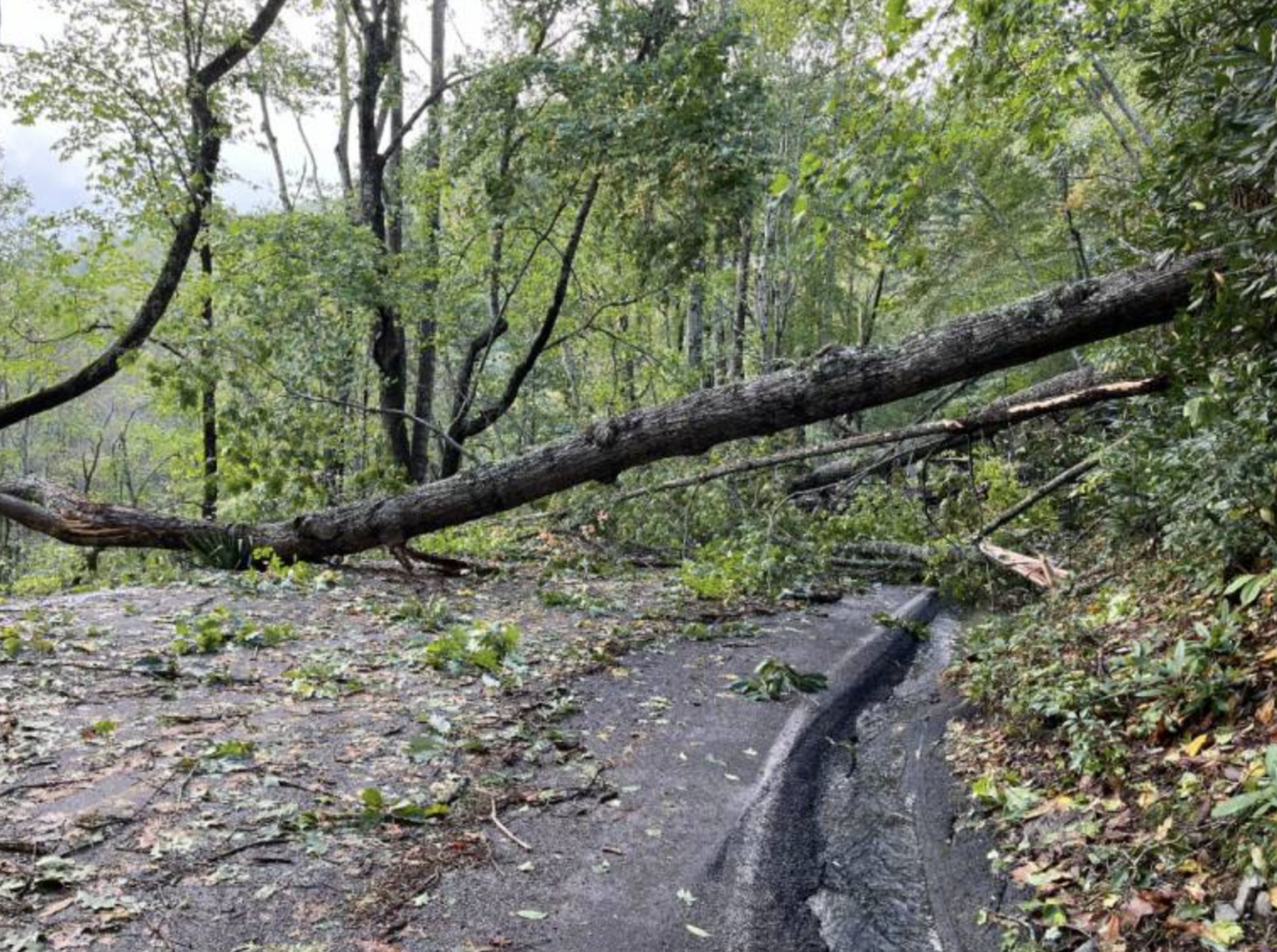 How to support those affected by Hurricane Helene | Today at Elon ...
