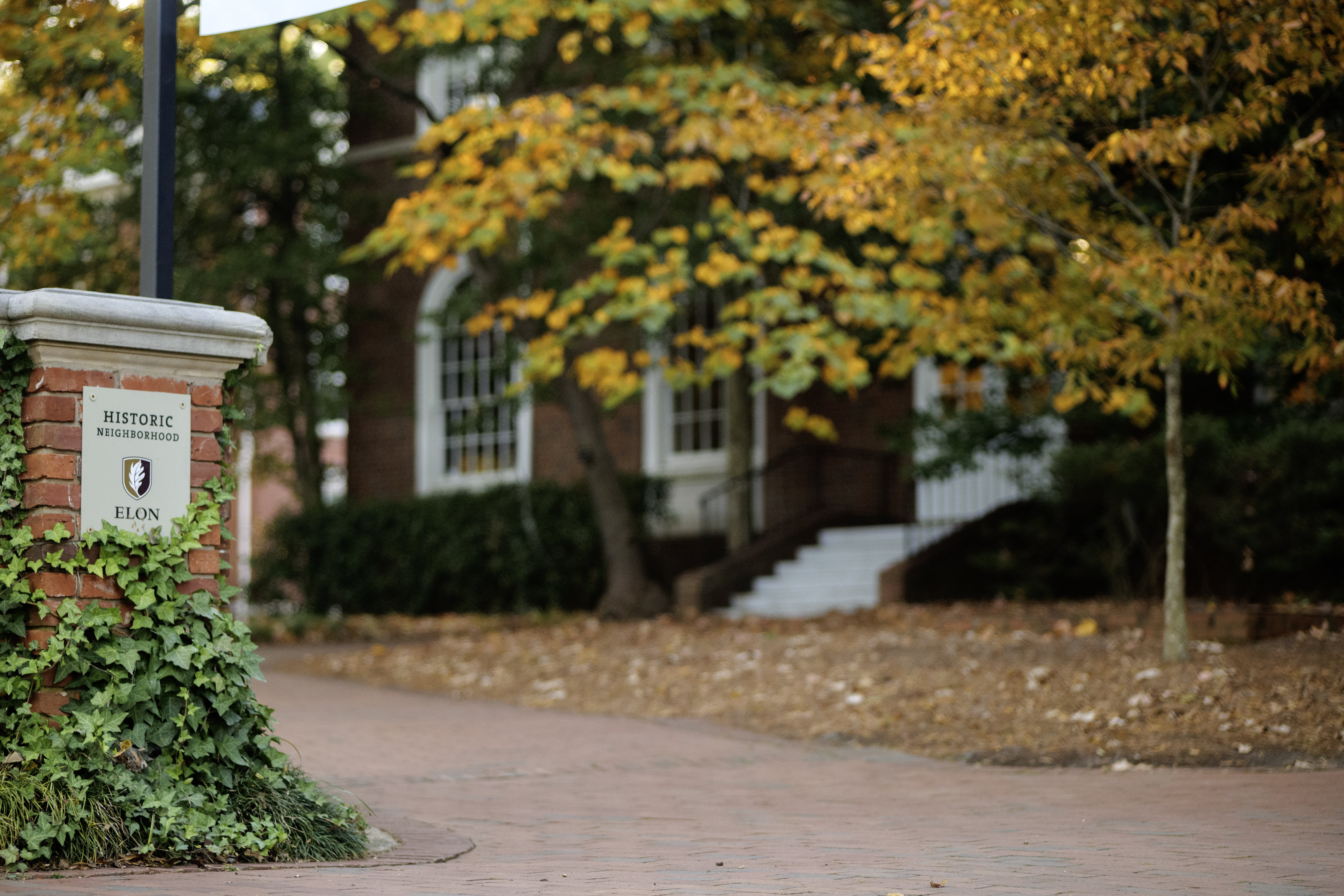 The image shows a brick column covered with green ivy, featuring a sign that reads “Historic Neighborhood, Elon” with a university emblem below it. In the background, a brick building with large windows and white-trimmed stairs is partially visible, framed by trees with yellow and orange autumn foliage. The ground is covered in a mix of brick pavement and fallen leaves, creating a peaceful and academic atmosphere.