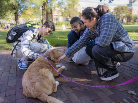 Students pet a dog