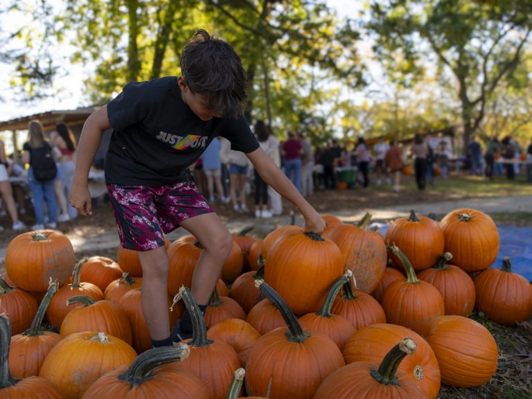 Child jumps on pumpkins